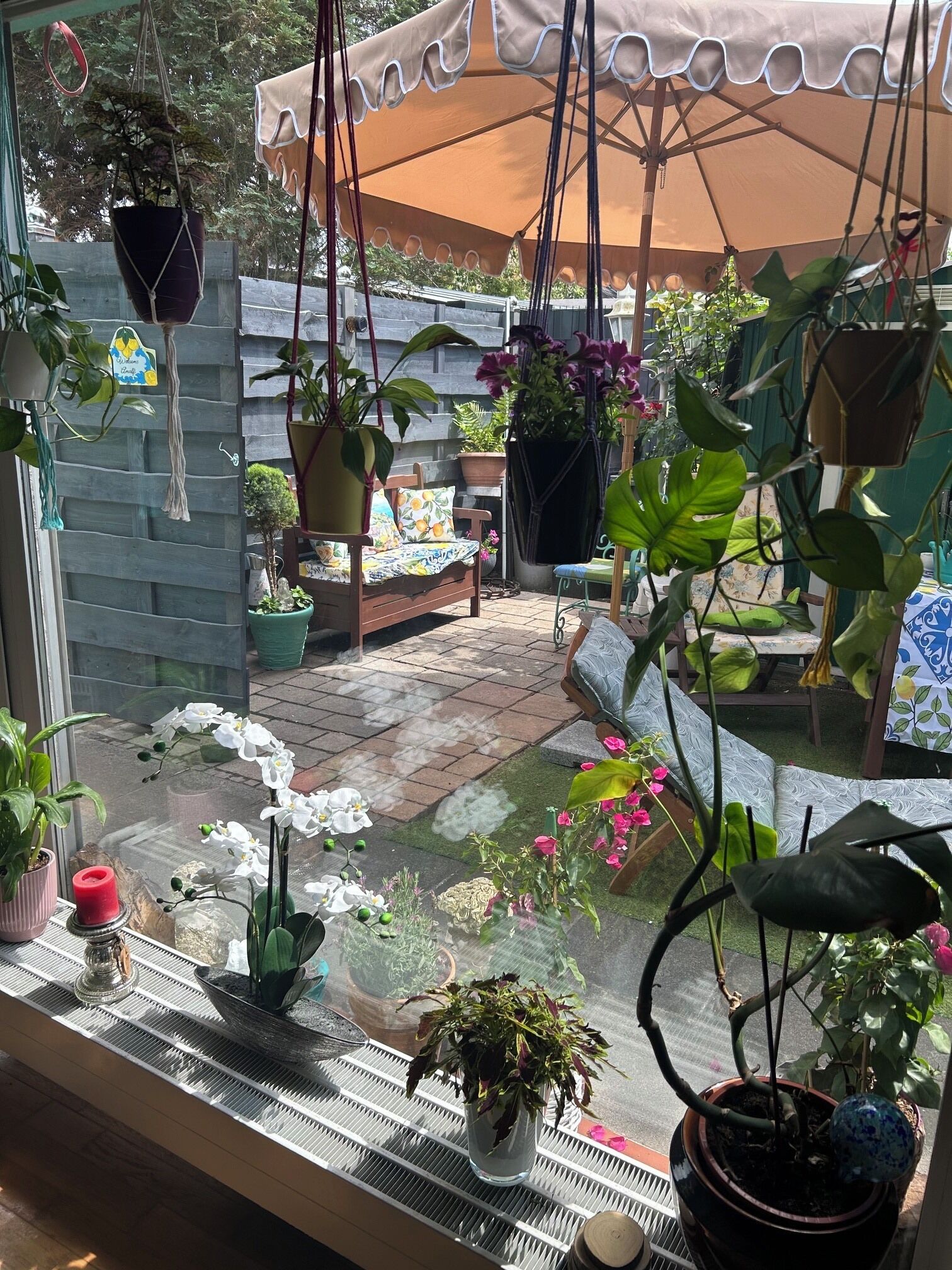 Eine Terrasse mit Kübelpflanzen, einem Hängesessel und einem Holztisch.
