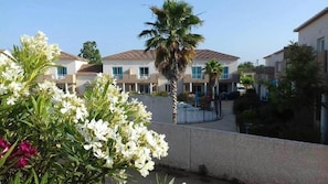 A residential area with houses featuring a consistent architectural style, a central palm tree, and a clear sky. - Family Duplex With Terrace in Corsica (Linguizzetta)