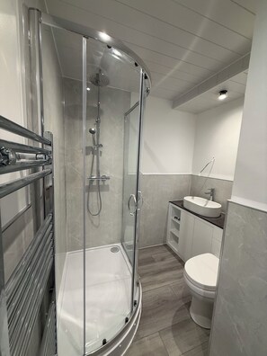 A modern bathroom with a glass-enclosed shower, a white sink, and a toilet.