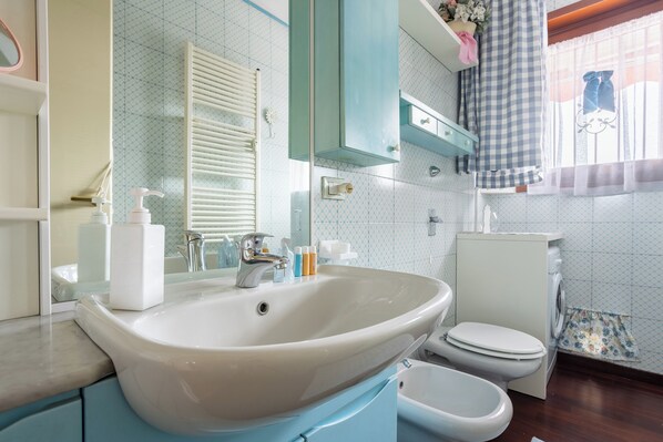Shower, hair dryer, bidet, towels