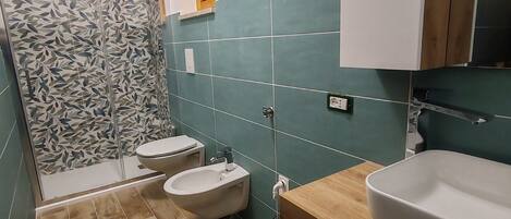 Shower, hair dryer, bidet, towels