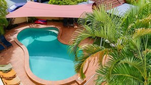 Una piscina de borde curvo, rodeada por un suelo de baldosas y palmeras.