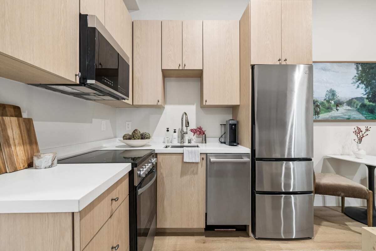 Fridge, microwave, oven, dishwasher