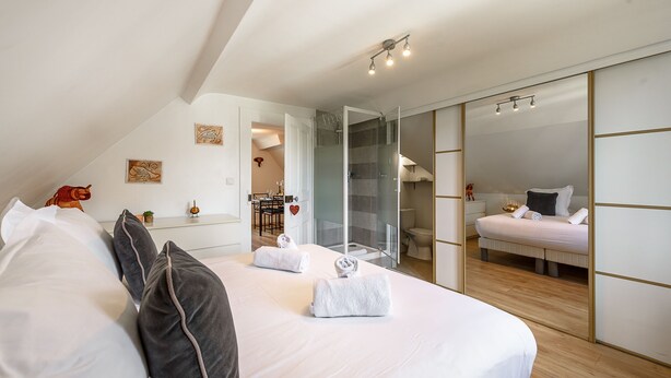 Una habitación de hotel moderna con una cama grande, cabina de ducha de vidrio y una zona de descanso separada.