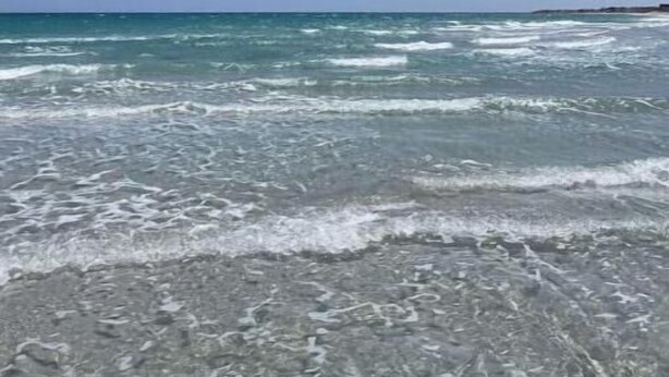 Beach - House for rent in Mnaka beach Tunisia governorate Kssour Essef (Salakta)