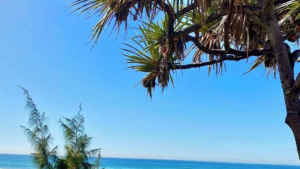Een strand met palmbomen, de oceaan en een heldere lucht.