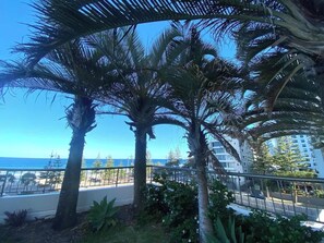 Property grounds - Ocean front 1-bedroom apartment near Beach (Surfers Paradise)