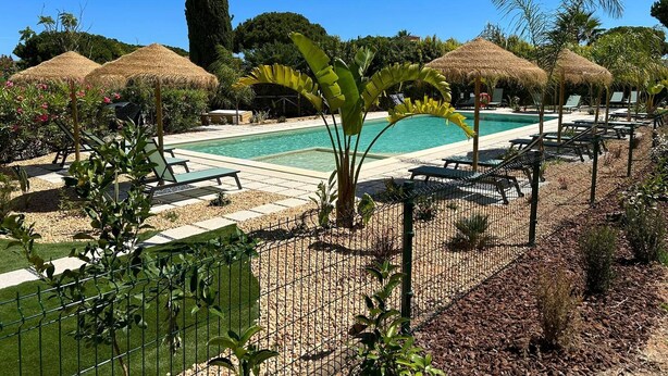 Un área de piscina con sillones reclinables, sombrillas de paja y un árbol alto.