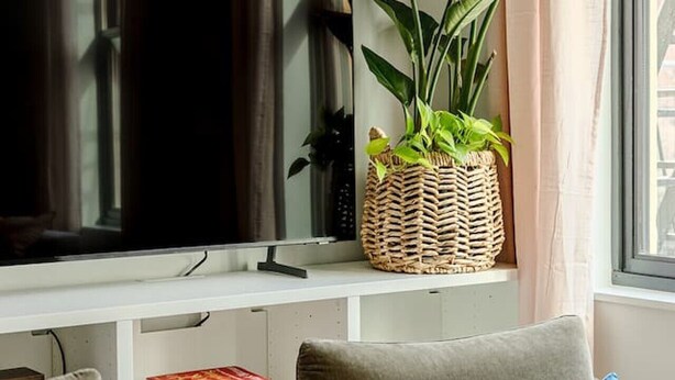 A living room with a flat-screen TV, two armchairs, a coffee table with books, a plant, and a window with curtains.