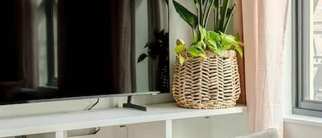 Fernseher