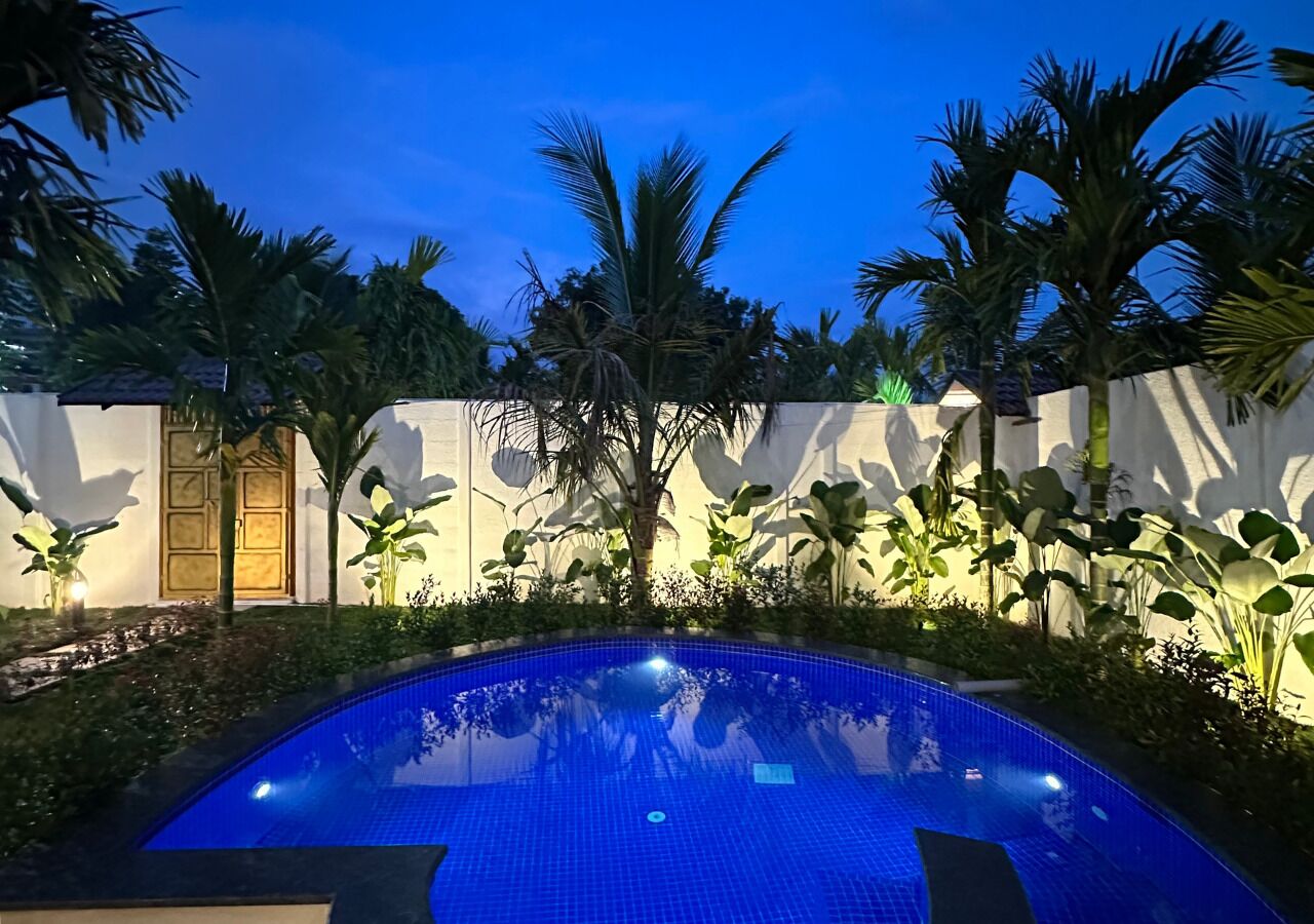 Una piscina con borde de azulejos, rodeada de palmeras y una pared blanca.