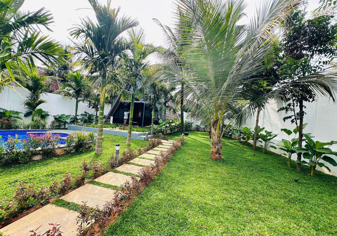 A well-maintained garden with a pathway, palm trees, and a pool.