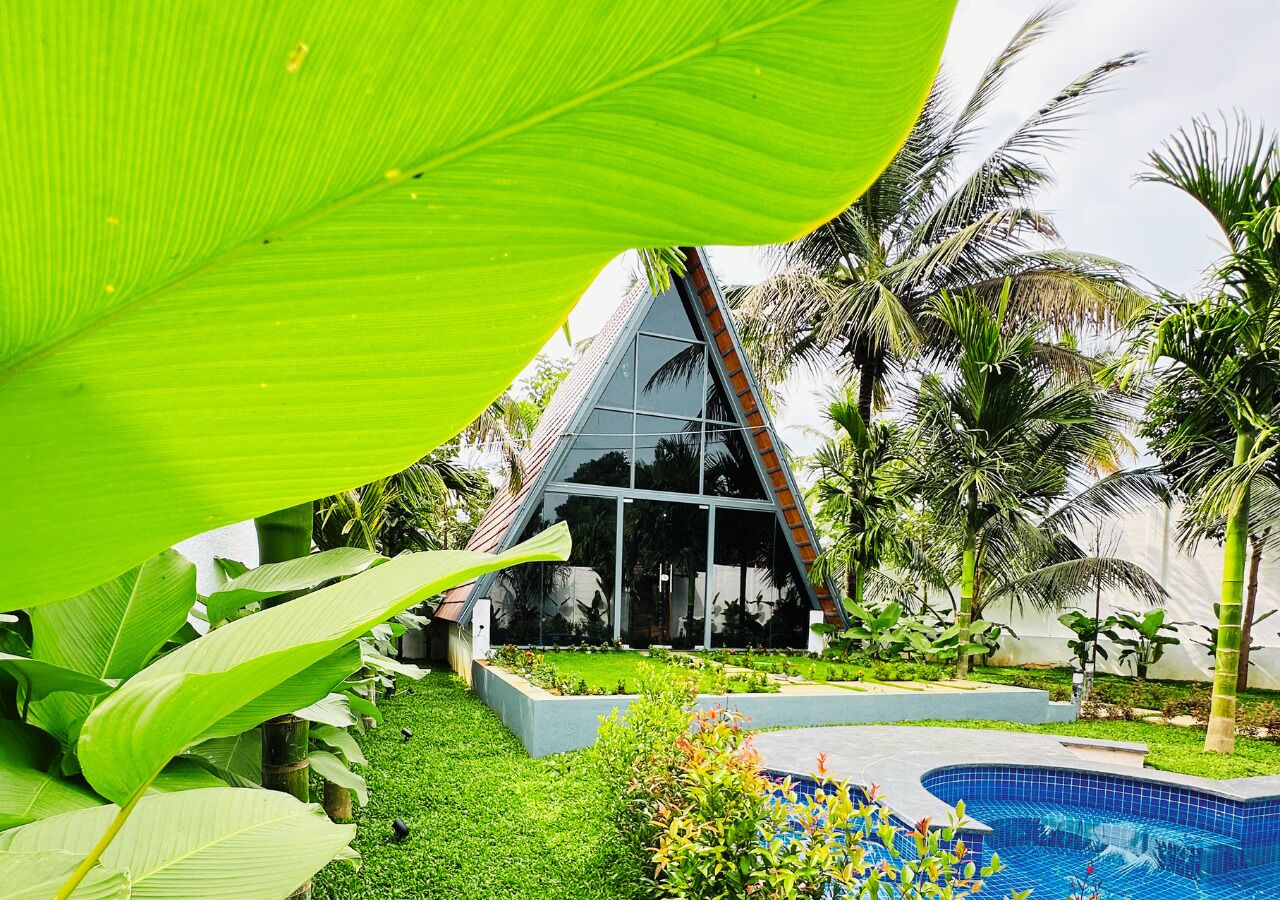 A modern building with a glass facade, surrounded by lush greenery and a swimming pool.