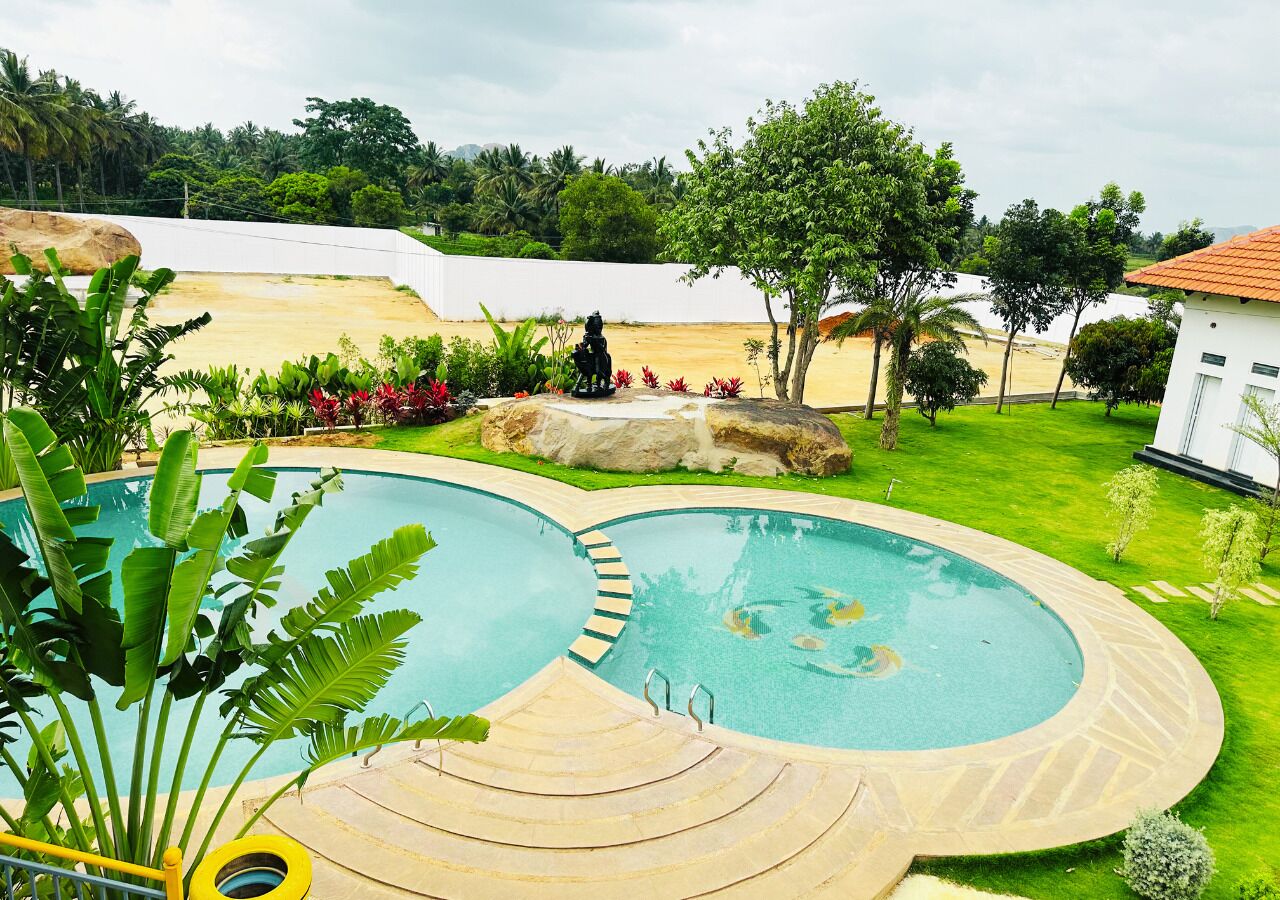 A swimming pool with a curved design, surrounded by a well-maintained lawn and various plants.