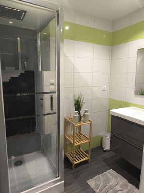 Shower, hair dryer, towels, toilet paper - La maison de la loue (Lods)