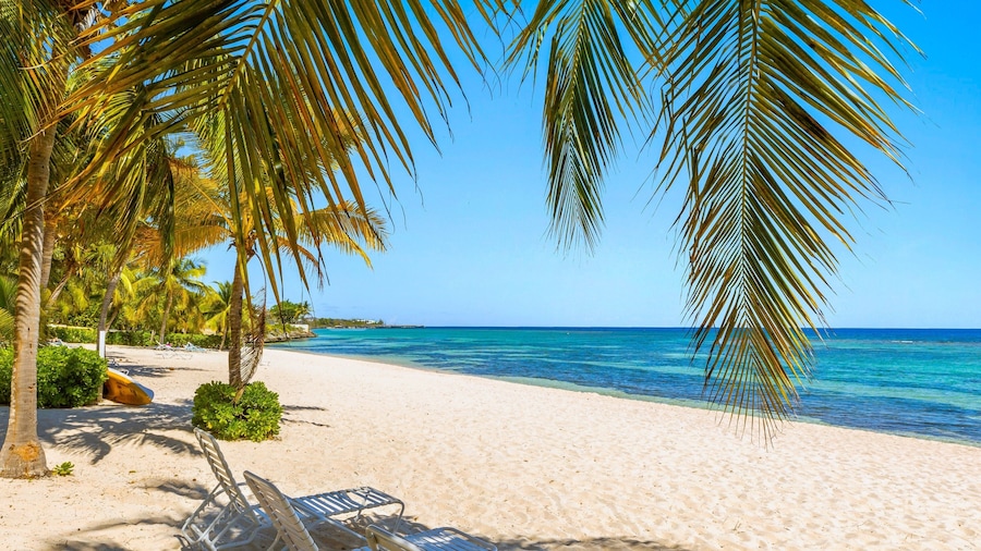 Cayman Luxury Rentals at Coral Bay