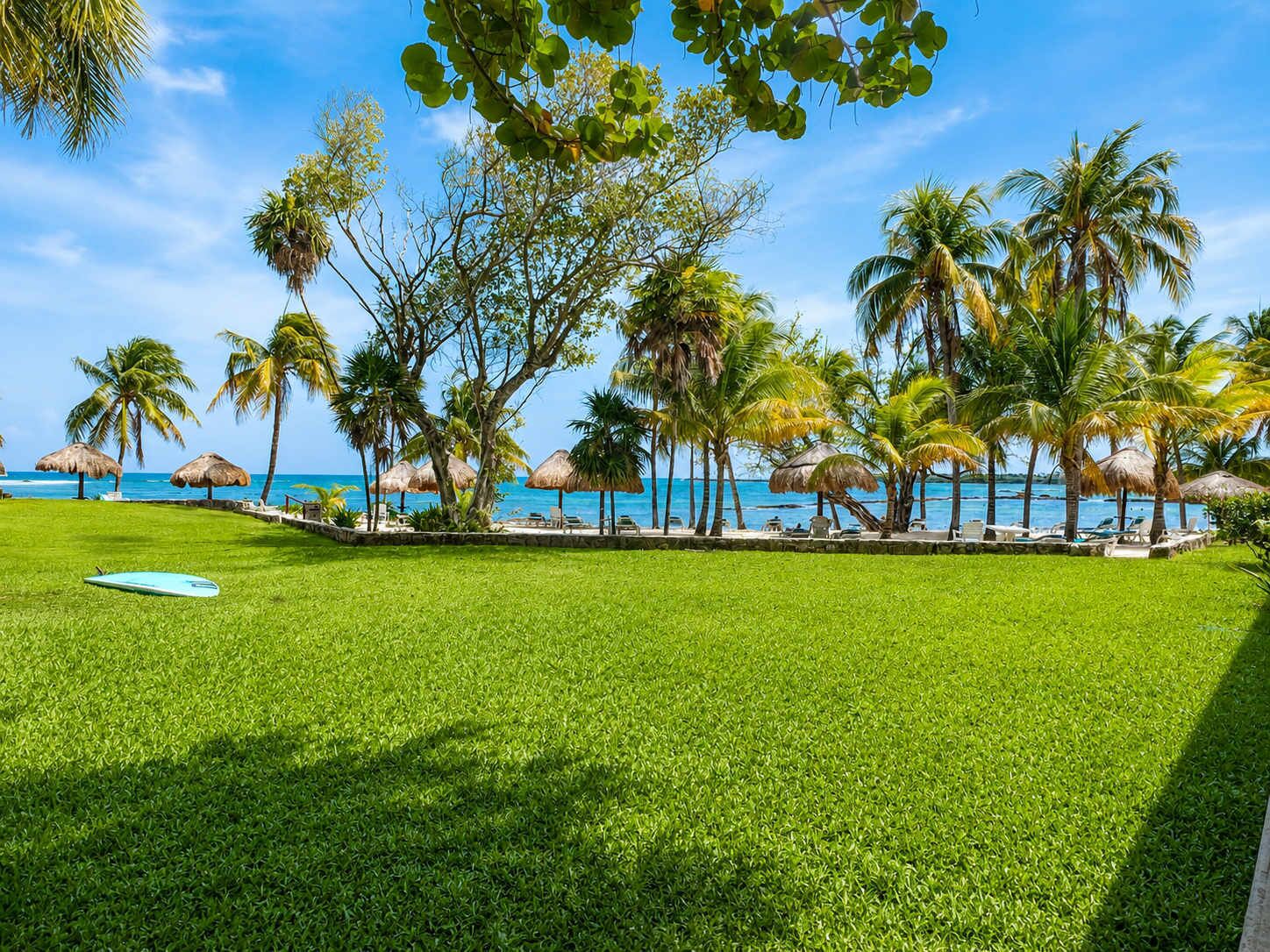 Paisaje de playa tropical con palmeras, sombrillas de paja y una vista despejada del océano.