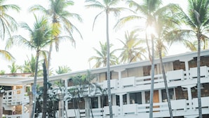 Un hotel de varios pisos con balcones, palmeras y un cielo despejado.