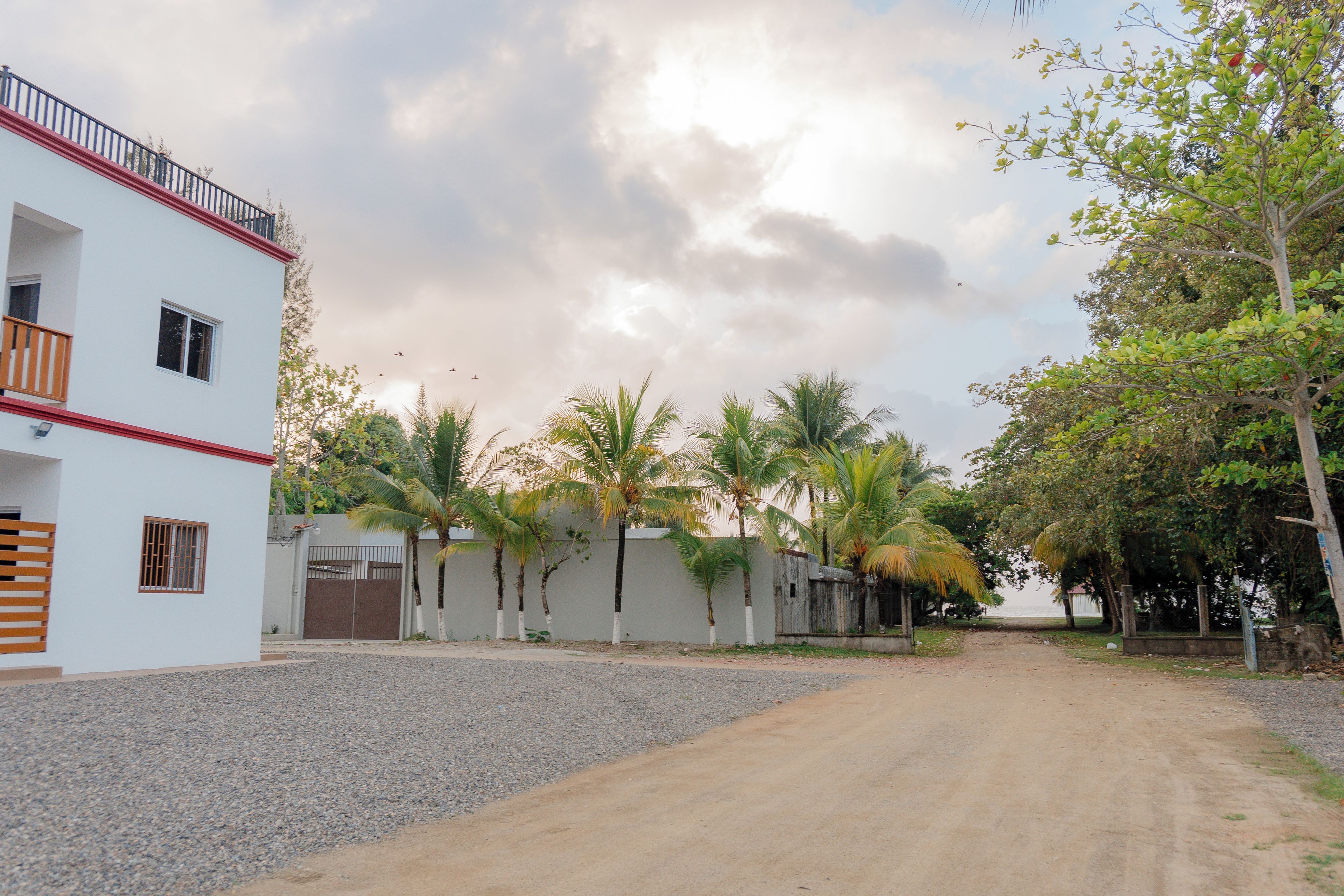 A residential street with a white building, palm trees, and a gravel driveway.