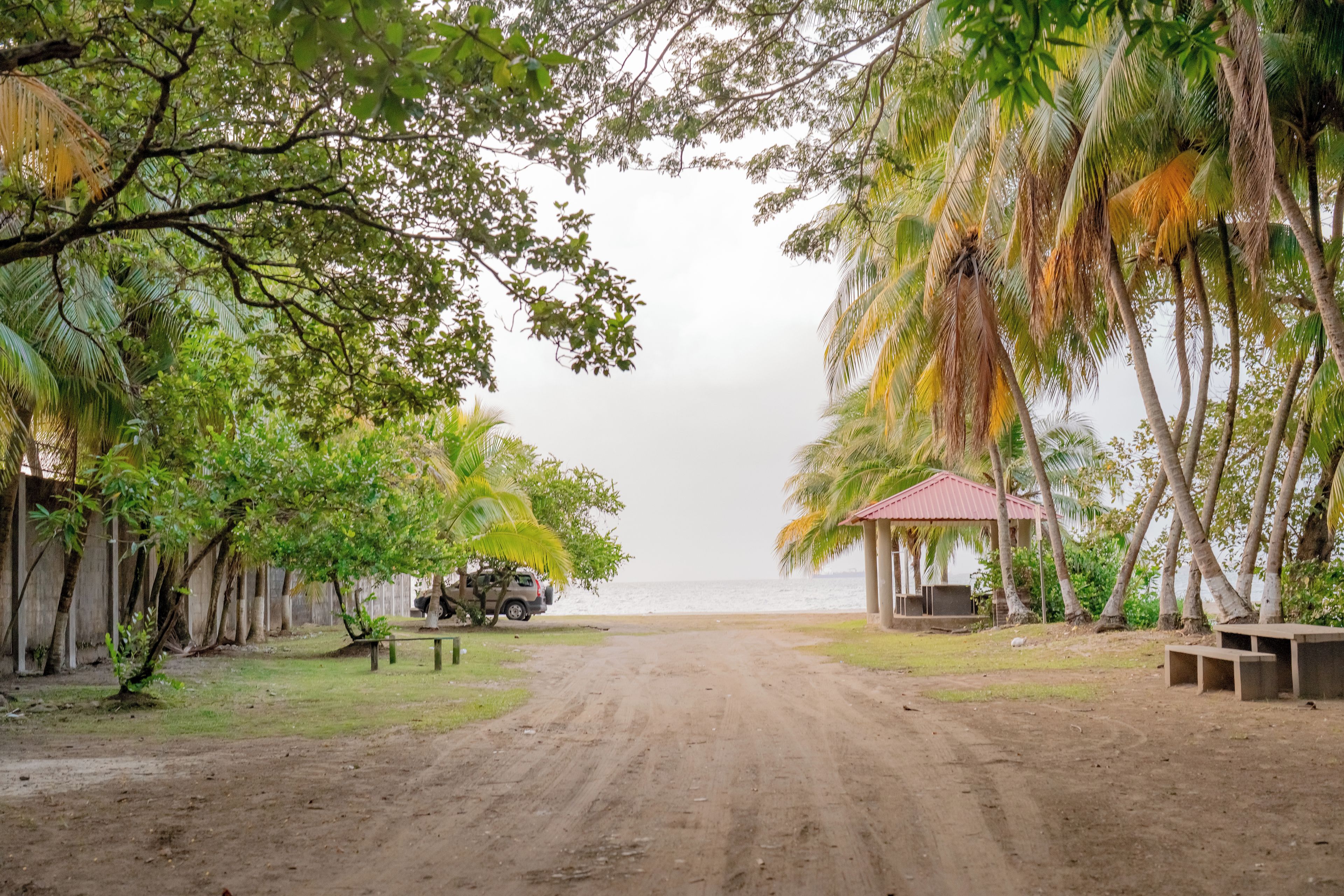 A dirt path leading to a beach with palm trees and a gazebo.