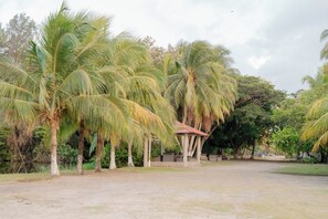 A park with palm trees and a small pavilion.