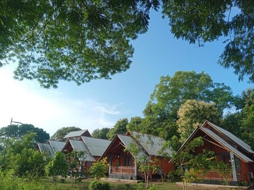 The Seeing Green - Udawalawe