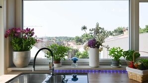 A kitchen with a sink, a window with a view of buildings, and various potted plants on the windowsill. - Stela Vela Apartment (Rovinj)