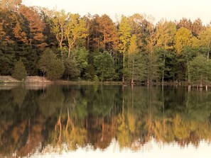 Un lac paisible, entourĂ© dâune forĂȘt dense.