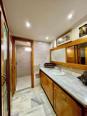 Shower, hair dryer, bidet, towels