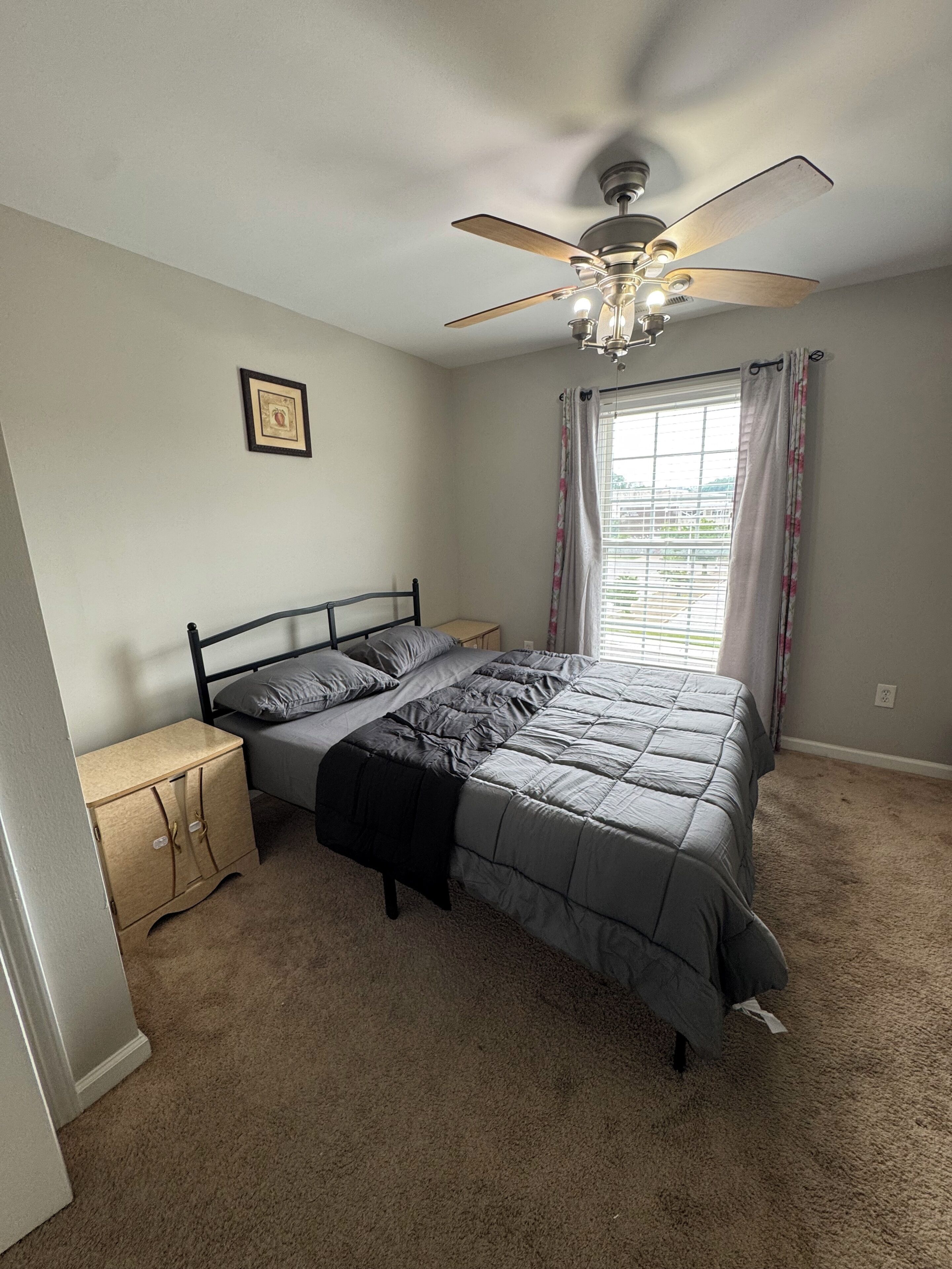 Iron/ironing board, free WiFi, bed sheets