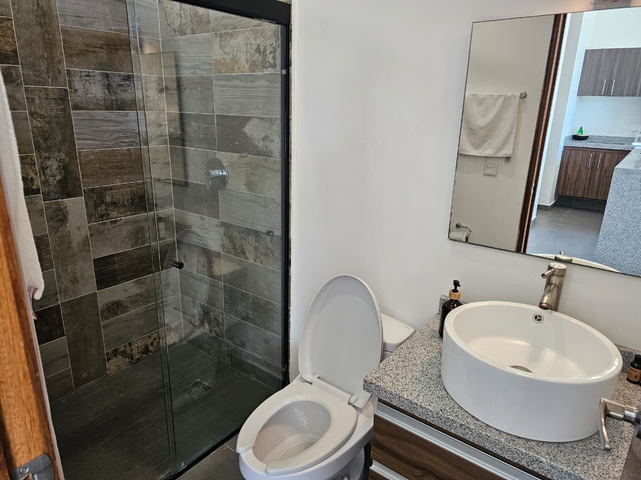 Une salle de bain avec une douche à parois de verre, des toilettes blanches, un lavabo sur un plan de travail en granit et un miroir au-dessus du lavabo.