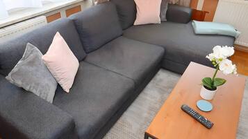 Fernseher, Kamin