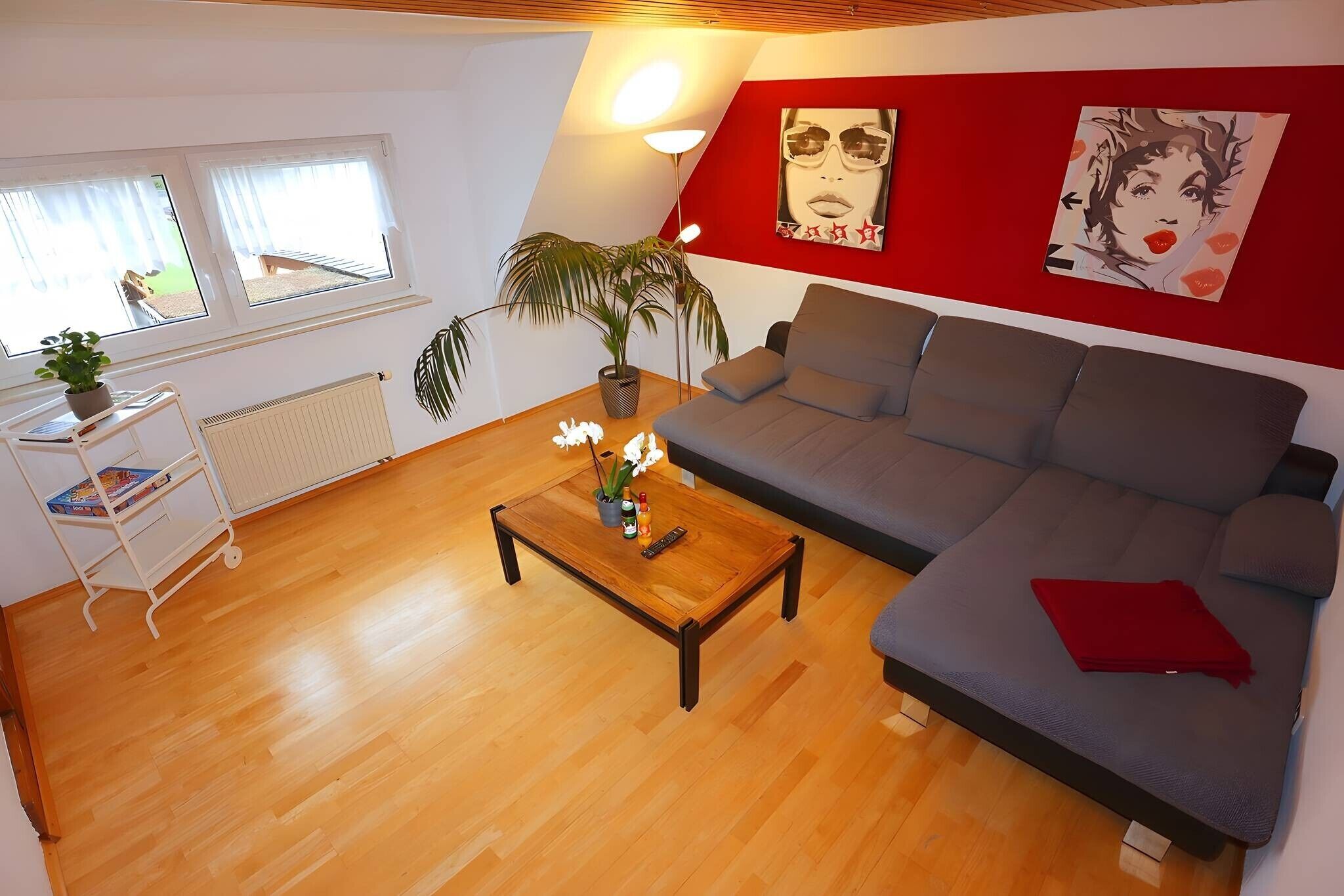 Fernseher
