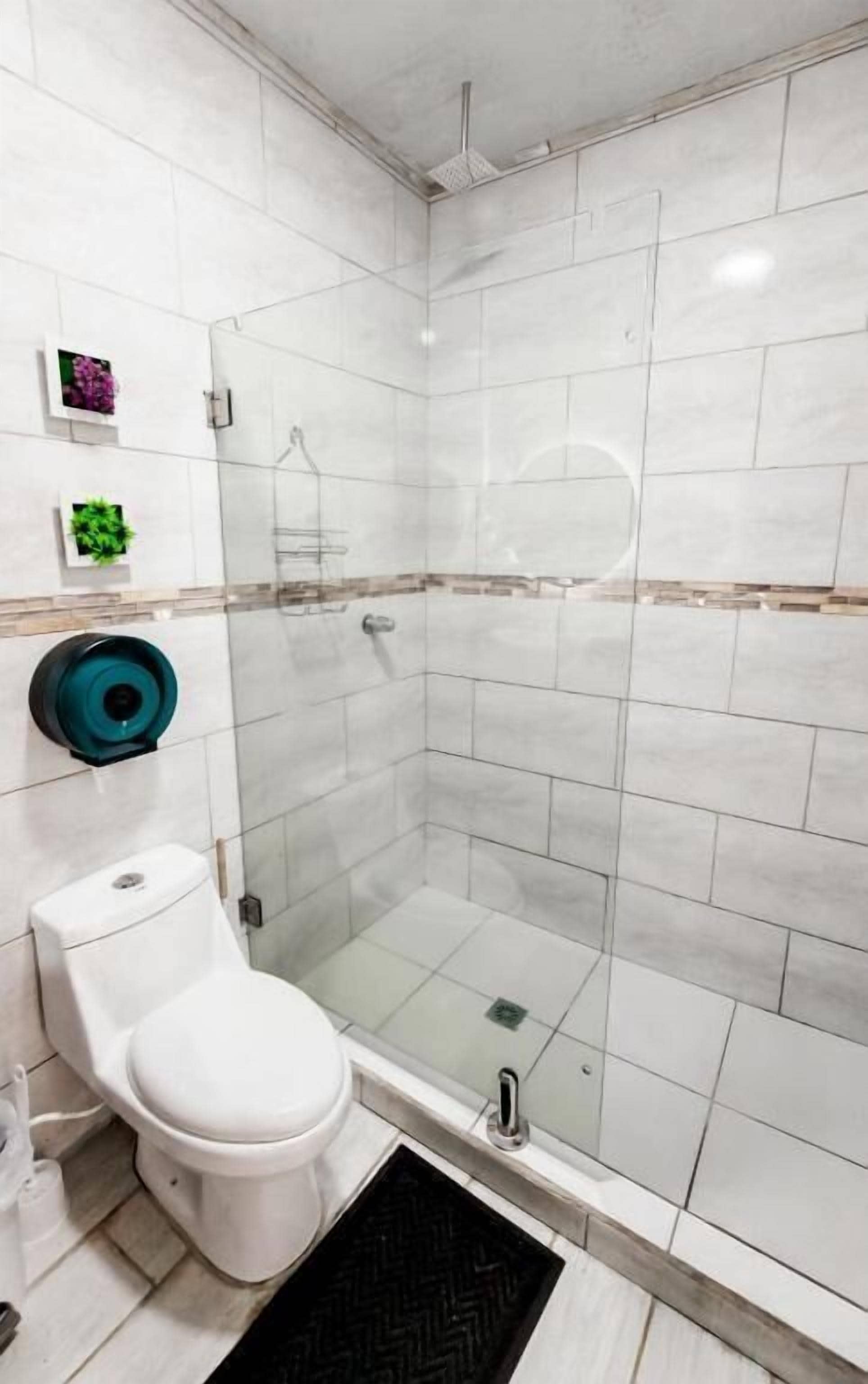 Un baño con inodoro blanco, ducha con cerramiento de vidrio y una pequeña planta en maceta en la pared.