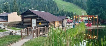 Baby Bear's Bunkhouse - 400sf cabin in the heart of Red River
