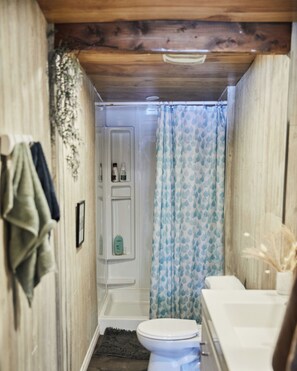 Regadera, jabón, papel de baño 
