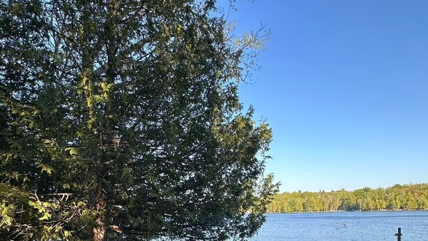 A wooden deck with chairs and a table overlooking a lake, surrounded by trees. - Falcon Retreats  – Kestrel (Sharbot Lake)