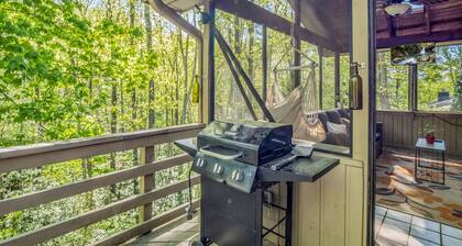 Big Mtn Home, Dog & Kid Friendly, close to Biltmore, breweries, & orchards