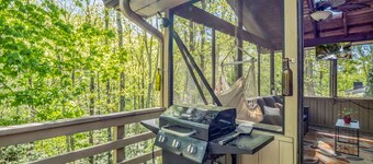 Big Mtn Home, Dog & Kid Friendly, close to Biltmore, breweries, & orchards
