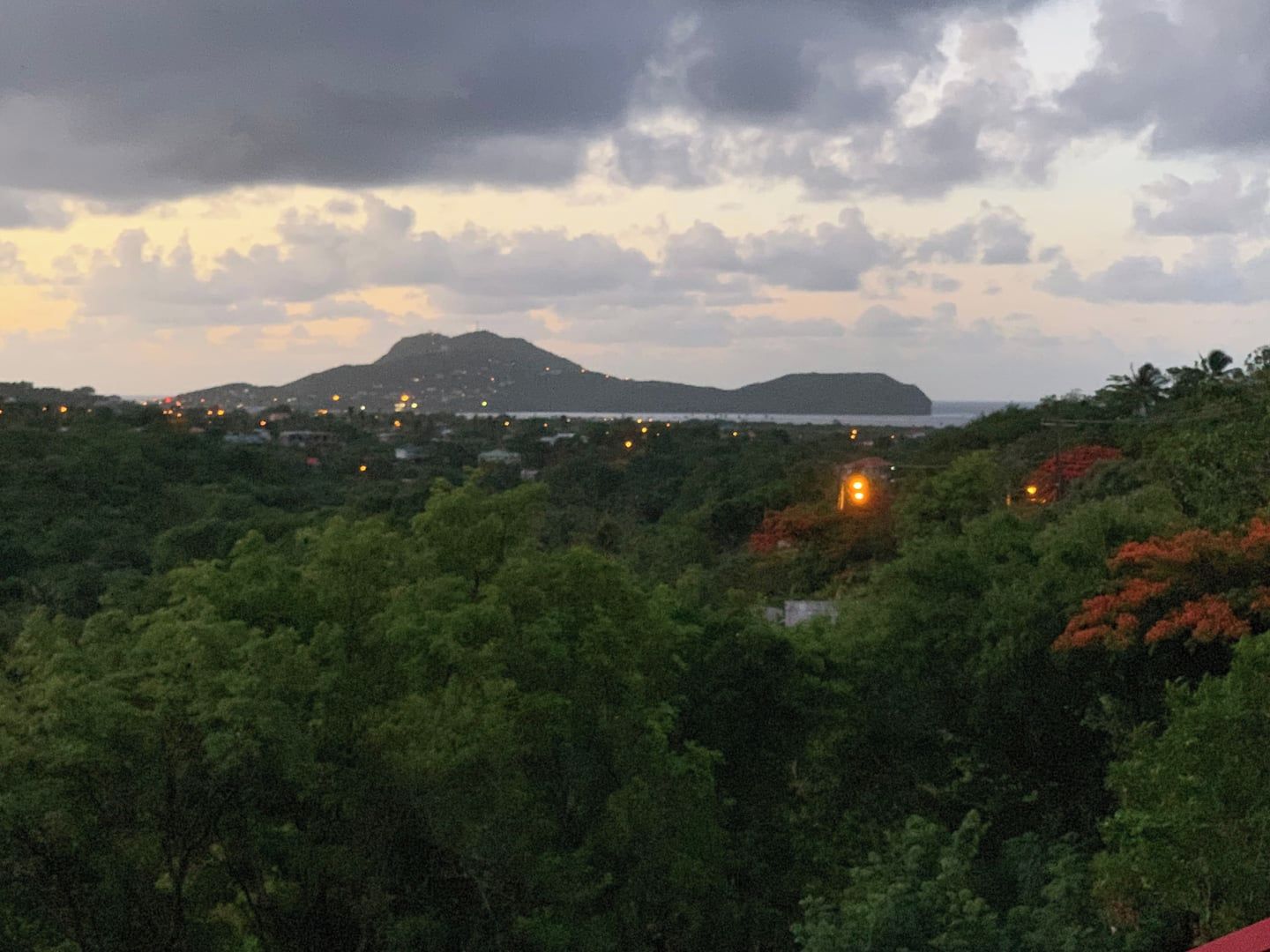 A landscape with dense greenery, a distant mountain, and a body of water.