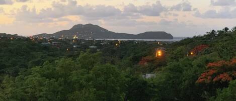 A landscape with dense greenery, a distant mountain, and a body of water.
