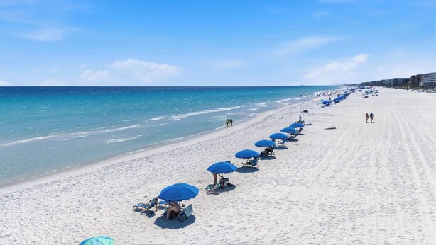 Una playa con hileras de sombrillas azules y sillas, cielo despejado y mar tranquilo.