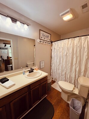 Bathroom - Deb's Nest on the Mountain! (Crab Orchard)