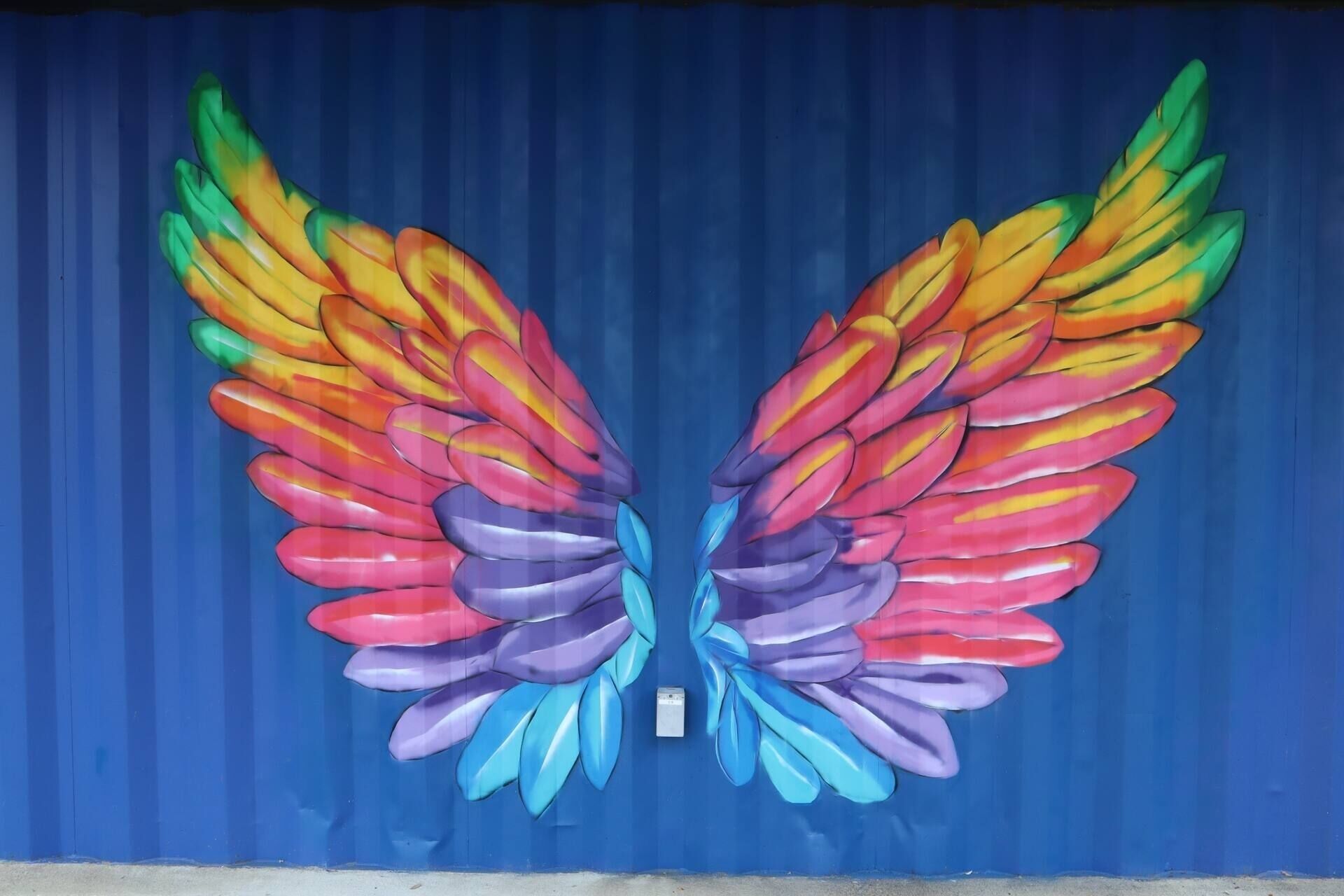 A mural of colorful wings on a blue background.