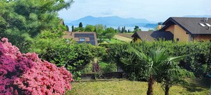 Property grounds - Castle Street Residence (Ranco)