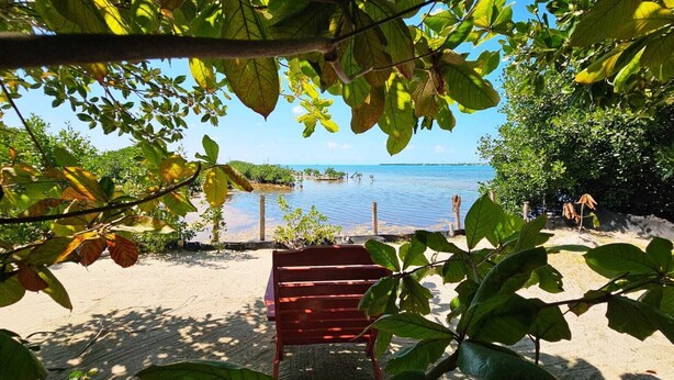 A beach view with a wooden bench, clear sky, and calm sea.