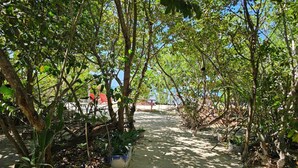 A pathway surrounded by trees and plants, leading to a structure in the distance.