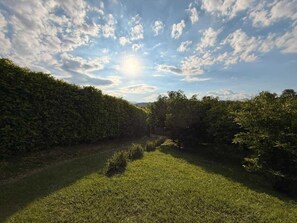 Property grounds - @Marbella Lane - Dream InfinityPool Mountain Villa (PALERMO)