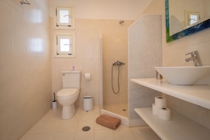 Shower, hair dryer, bidet, towels