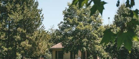 A small house with a tiled roof, surrounded by a grassy area and trees.